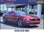Thumbnail Photo 0 for 2016 Ford Mustang